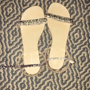 Ann Taylor flats